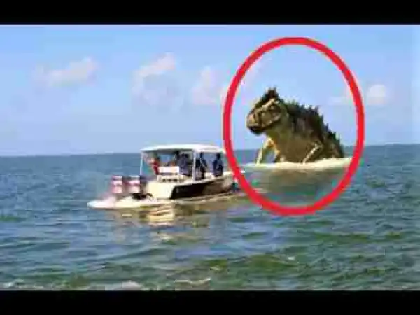 Video: Prehistoric Cryptids That Might Still Exist